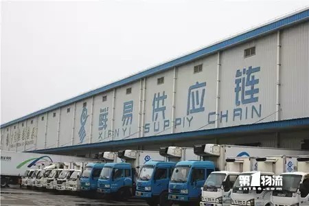 打造全国冷链物流发展示范中心，它凭啥做到？